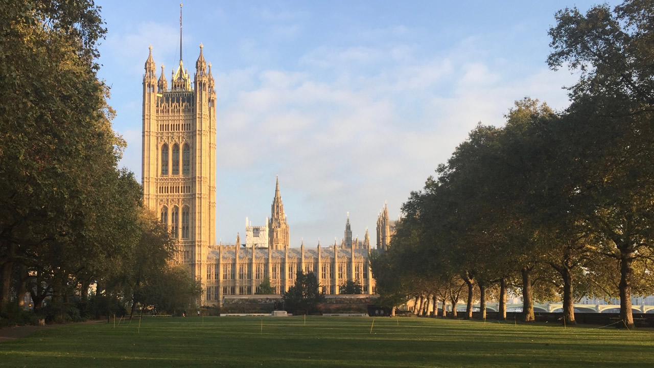 🌞🍷☀️🍺Summer drinks under Big Ben (BYOB)